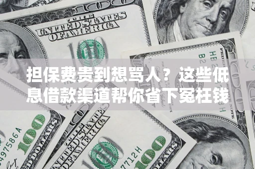 济南担保费贵到想骂人？这些低息借款渠道帮你省下冤枉钱