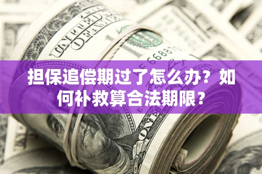济南担保追偿期过了怎么办？如何补救算合法期限？